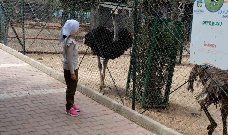 Kurban Bayramında Hayvanat Bahçesi öğrencilere ücretsiz olacak