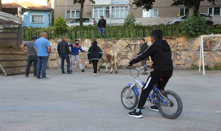 Kurban kesim alanları oyun parkına döndü