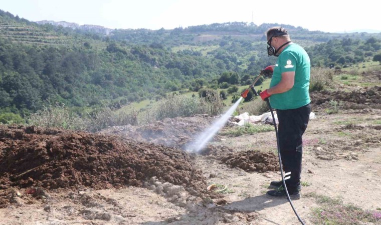 Kurban pazar yerleri ilaçlanıyor