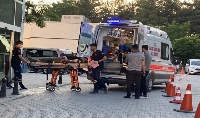 Kurbanlık koyunu yakalamak isterken düştü, hastanelik oldu