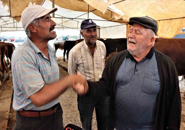 Kurbanlıklar görücüye çıktı, sıkı pazarlıklar başladı