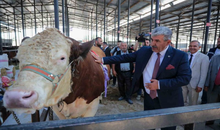 Kütahyada Canlı Hayvan Pazarı açıldı