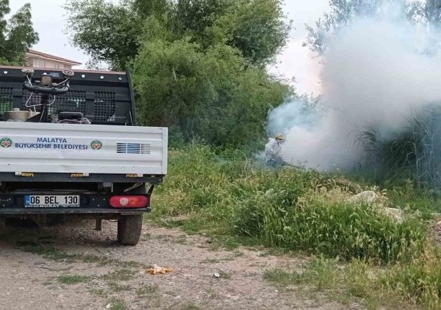 Malatyada haşere ile mücadele çalışmaları sürüyor