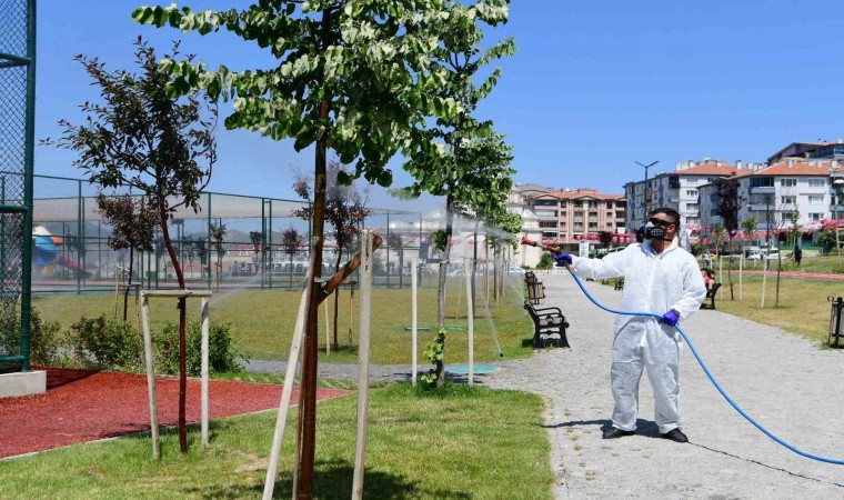 Mamak Belediyesinden çevre dostu biyolojik mücadele