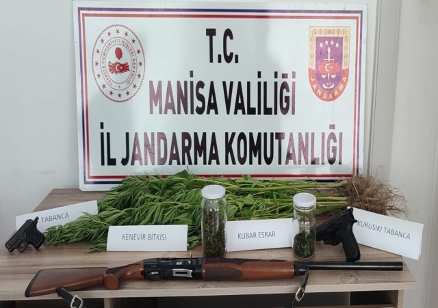 Manisada 45 kök kenevir ve 30 gram esrar ele geçirildi