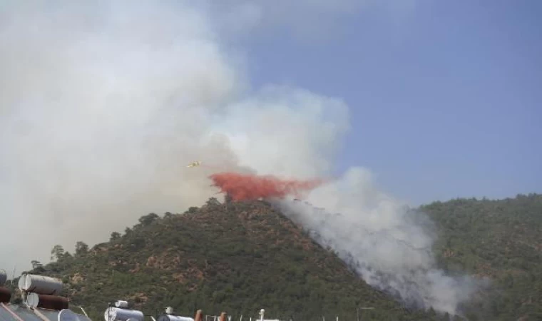 Marmaris’te orman yangını / Ek fotoğraflar