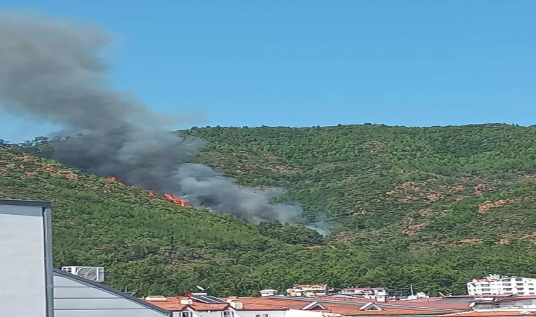 Marmaris’te orman yangını