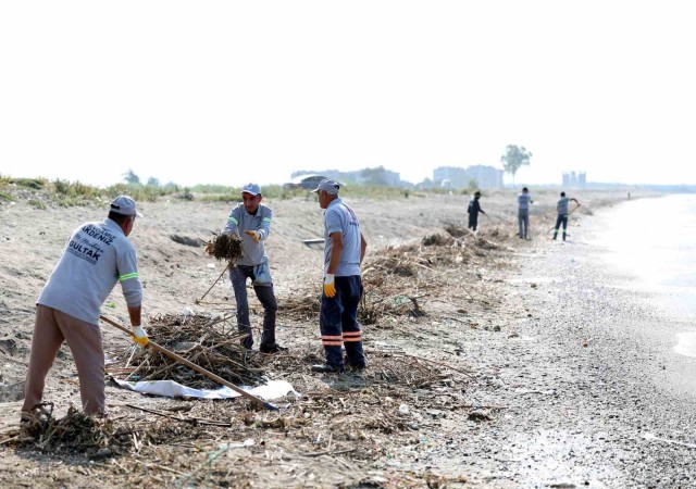 Mersinde caretta carettaların üreme alanı sahiller temizleniyor