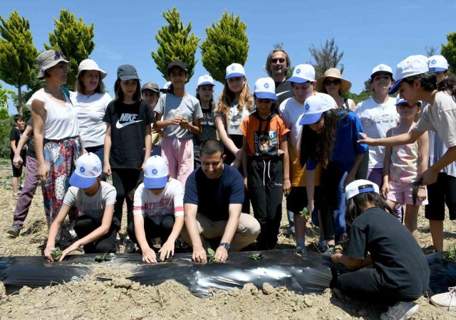 Minik eller yaz fidelerini Adabahçenin bereketli topraklarıyla buluşturdu