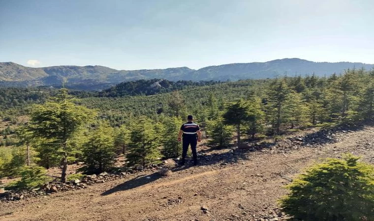 Muğla’da bazı bölgelerde ormanlara giriş yasaklandı