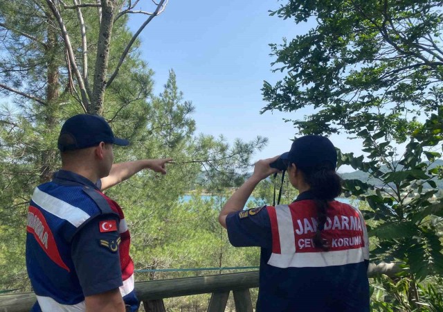 Muğlada jandarma ekipleri orman yangınlarına karşı teyakkuza geçti