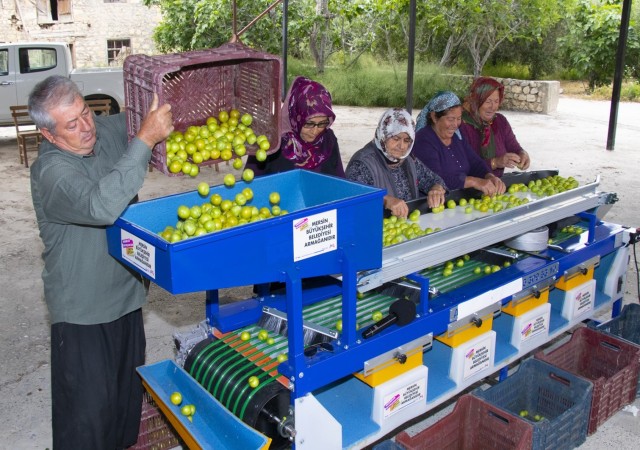 Muttaki erik üreticisine boylama makinesi desteği