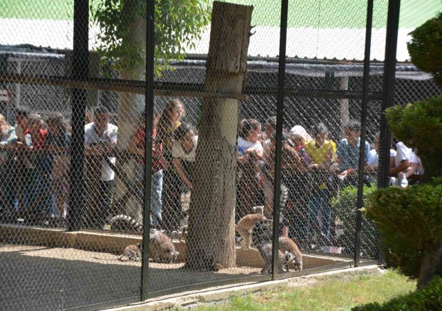 Öğrenciler LGS öncesi Tarsus Doğa Parkında stres attı