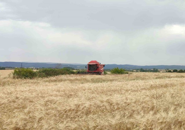 Öğrencilerin yetiştirdiği ilk arpa, salonda satıldı