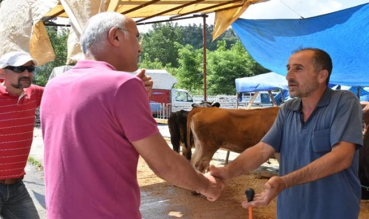 Ordu’d a bazı vatandaşlar, kurbanlık almak için bayramın ilk gününü tercih etti