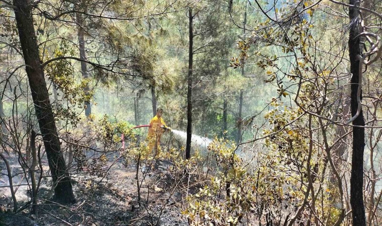 Osmaniyede orman yangını, ekipler havadan ve karadan müdahale etti