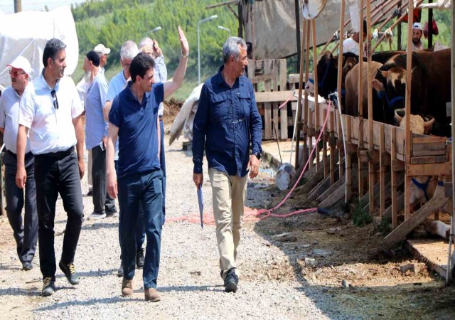 Parıldar kurban pazarı ile satış kesim yerlerini inceledi