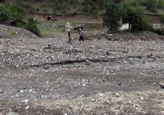 Sağanak yağış çeltik arazilerine zarar verdi