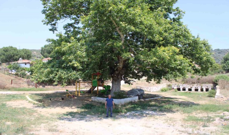 Şahnalının tarihi Sekizpınarları eski günlerine kavuşmayı bekliyor