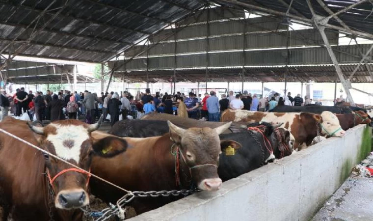 Samsun’da kurban kesim noktalarında yoğunluk