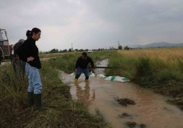 Sandıklıda sağanak yağış tarım arazilerine zarar verdi