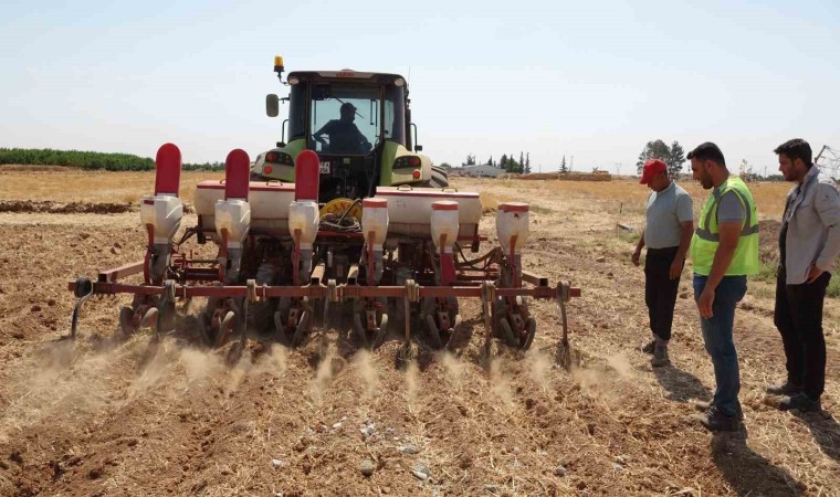 Şanlıurfa Büyükşehir Belediyesi mısır ekimine başladı