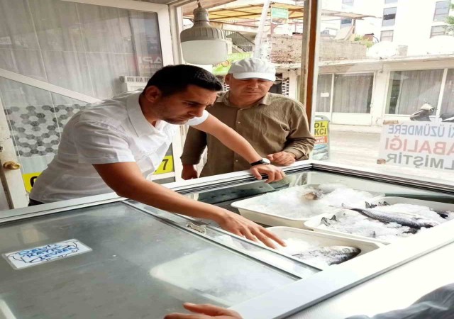 Serikte balık satan iş yerleri denetlendi