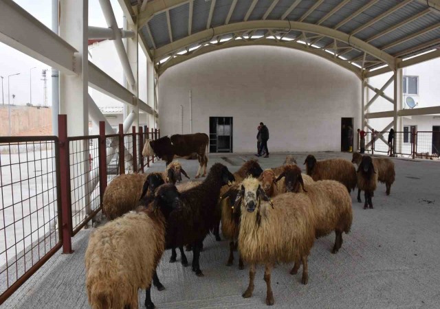 Siirtte kurban satış ve kesim yerleri belirlendi