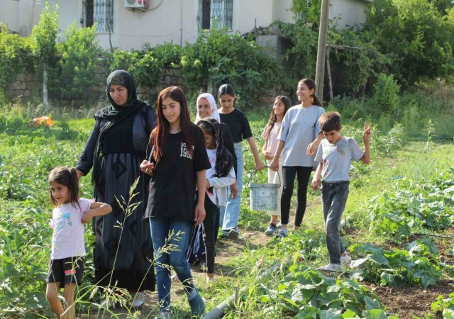 Şırnakın sebze ihtiyacını karşılamak için harekete geçildi