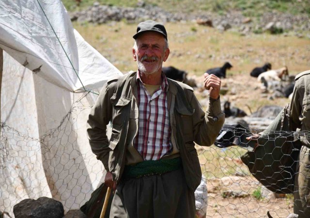 Şırnakta vatandaşlar kuzu kırpmaya başladı