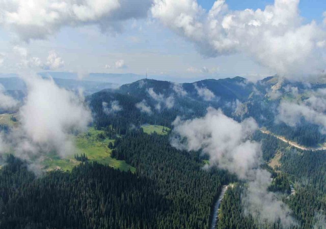 Sis bulutları ile kaplanan Ilgaz Dağında mest eden görüntüler