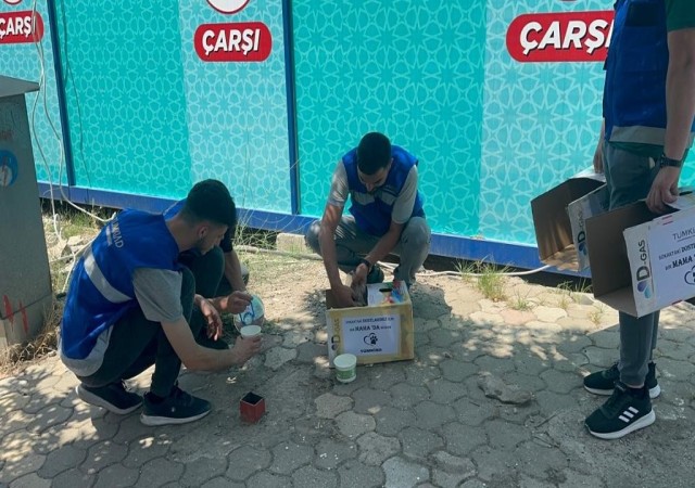 Sokaktaki can dostlarını depremin ilk günlerinden bu yana unutmadılar