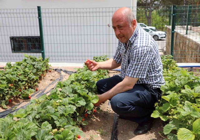 Talasta deneme bahçeleriyle yeni ürünlere teşvik