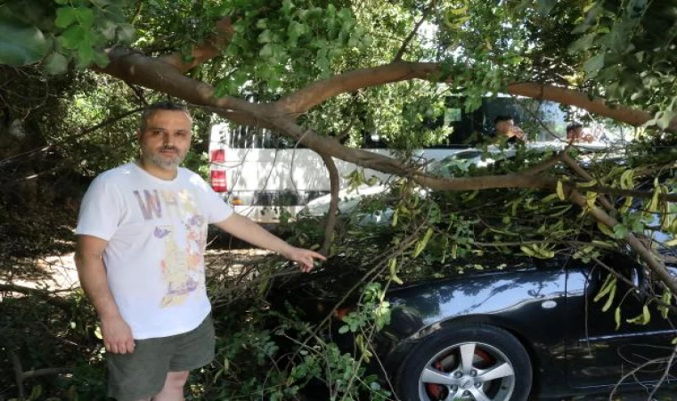 Tatile geldiği Antalya’da, otomobilinin üzerine ağaç devrildi