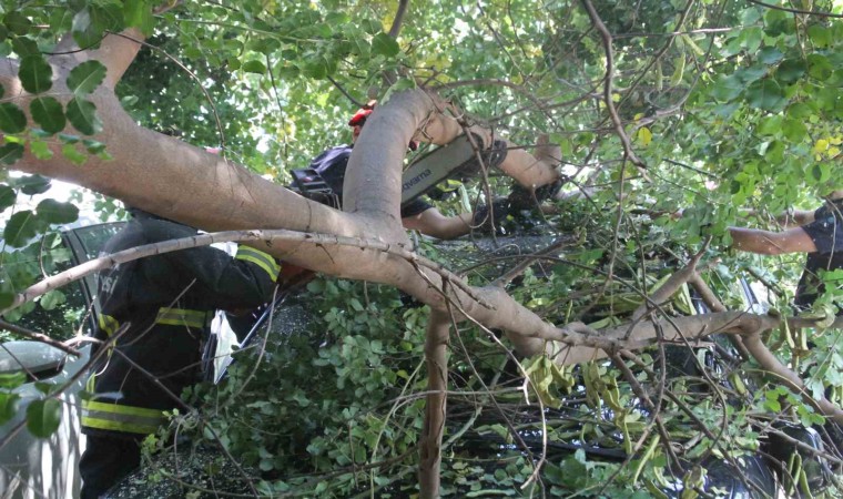 Tatilinin ilk gününde denize girmek için aracını park etti, geri döndüğünde gözlerine inanamadı