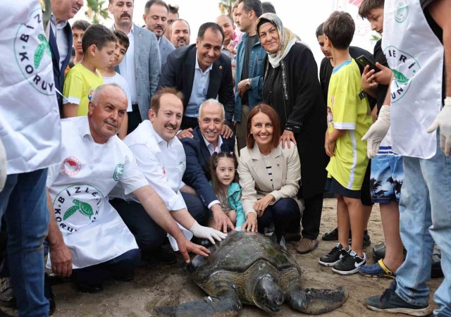 Tedavileri tamamlanan deniz kaplumbağaları denize bırakıldı