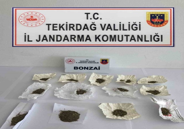 Tekirdağda 23 kişi uyuşturucudan yakalandı