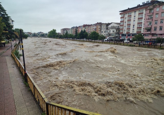 Terme Çayında korkutan görüntü