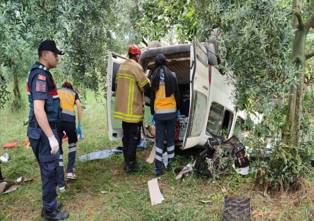 Topladığı erikleri satmaya götürürken kazada hayatını kaybetti