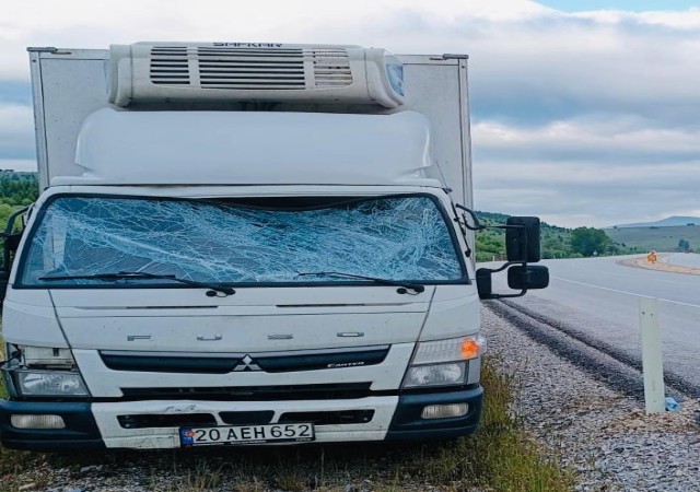 Trafik uyarı tabelasına çarpan kamyonet sürücüsü yaralandı