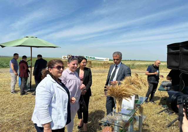 Tritikale Tanıtım ve Tarla Gününde hasat yapıldı