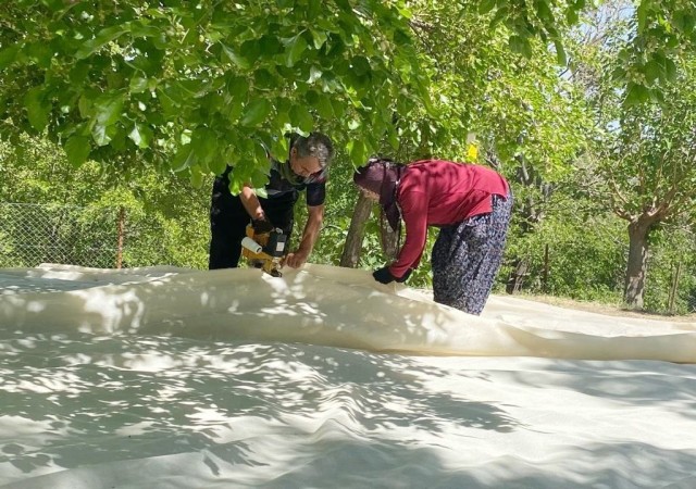 Tuncelide dut üreticileri dayanışma içerisinde bahçelerini sezona hazırlıyor