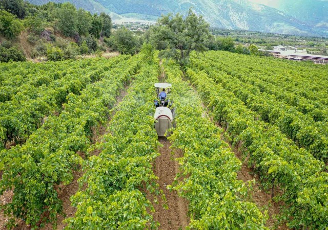 Üreticinin dolu zararı Denizli Büyükşehir desteğiyle önlenecek