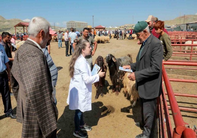 Van Büyükşehir Belediyesinden kurbanlıklar için bilgilendirme