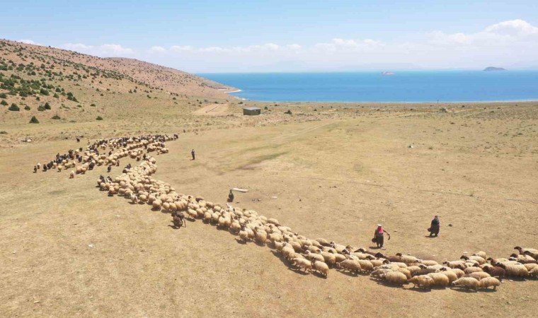 Vanda yaylaya güneş enerjisiyle su ulaştırıldı