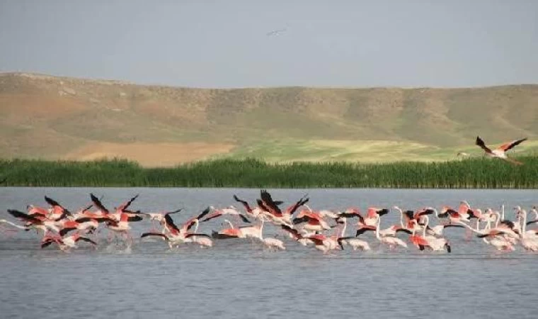 Yağışlarla birlikte Seyfe Gölü’nde doluluk oranı yüzde 80’e ulaştı