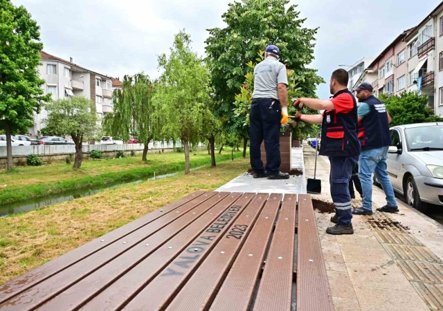 Yalovada Vandallar iş başında