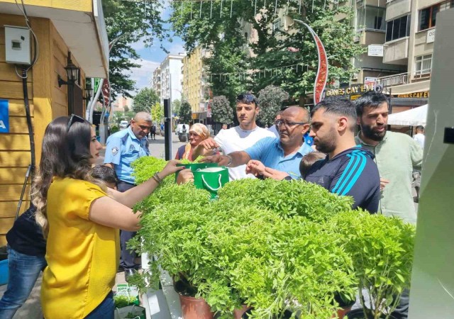 Yenişehirde Çevre Koruma Haftasında vatandaşa fesleğen dağıtıldı