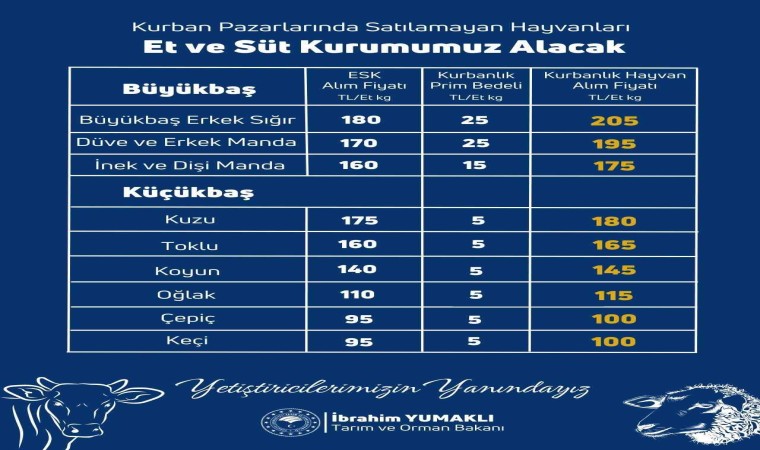 Yetiştiricilerin kurban pazarlarında satılmayan hayvanları Et ve Süt Kurumu tarafından satın alınacak