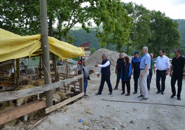 Yetkilerden kurban uyarısı: Cadde, sokak ve parkta kurban kesmek yasak